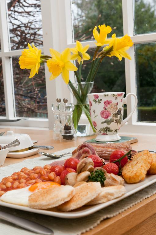 Bwlch Y Fedwen Bed And Breakfast Porthmadog Kültér fotó
